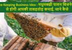 Bee Keeping Business Idea