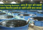 Fish Farming Business