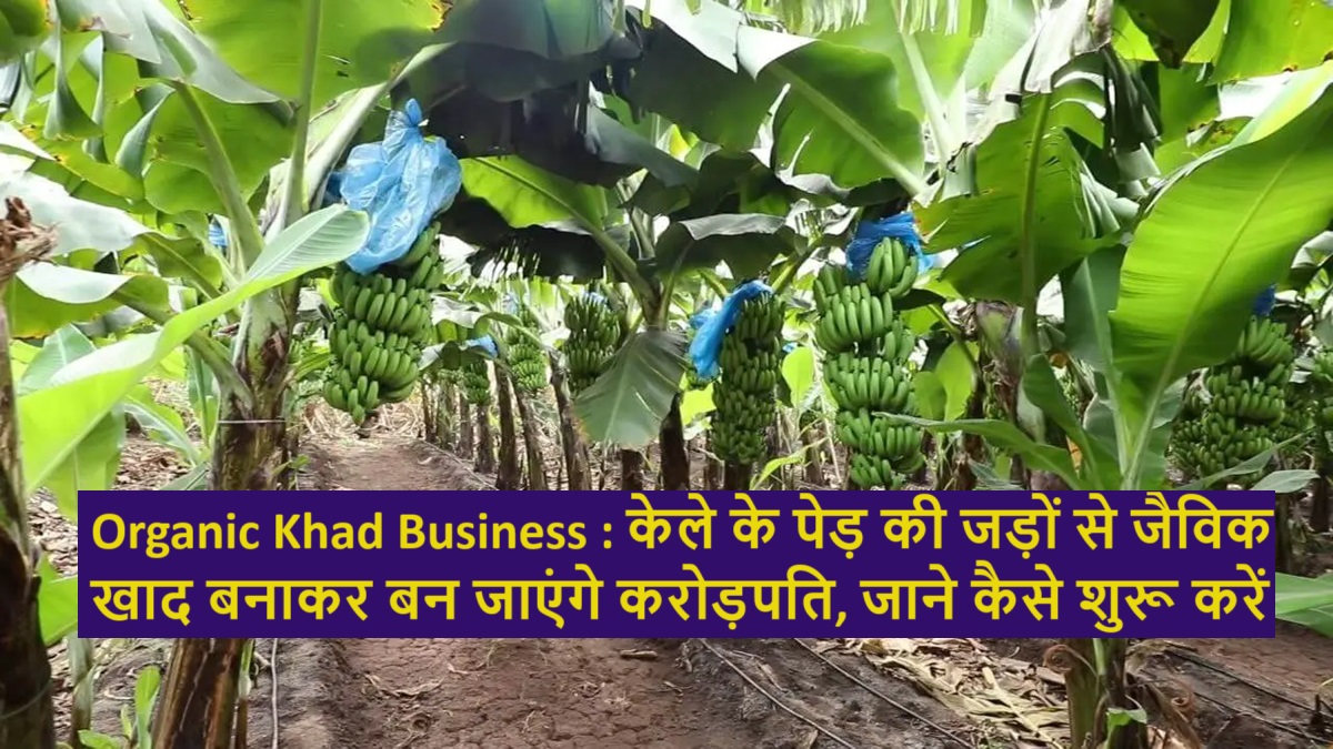 Organic Khad Business