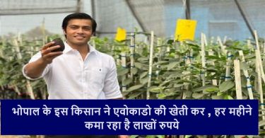 Harshit Godha Success Story