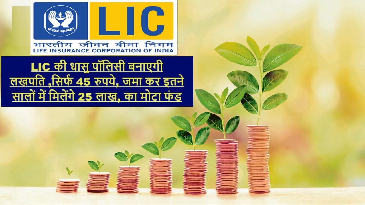 LIC New Jeevan Anand Policy